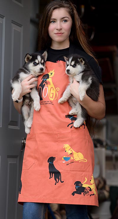 DOGS Heavy Cotton Twill Apron *DISCONTINUED Limited Quantity Available*